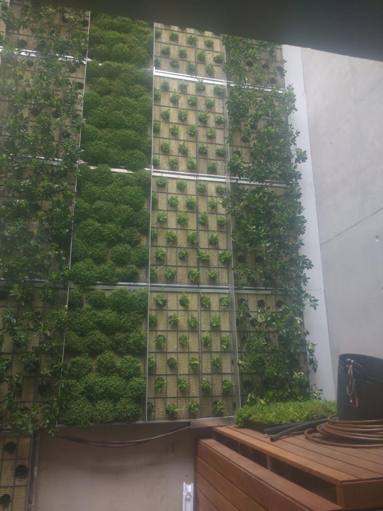 Jardín vertical
