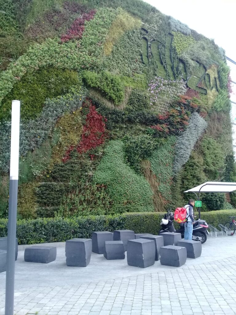 Jardín vertical