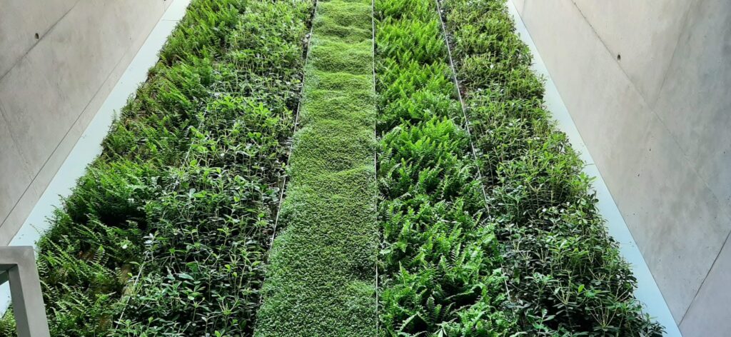 Jardín vertical