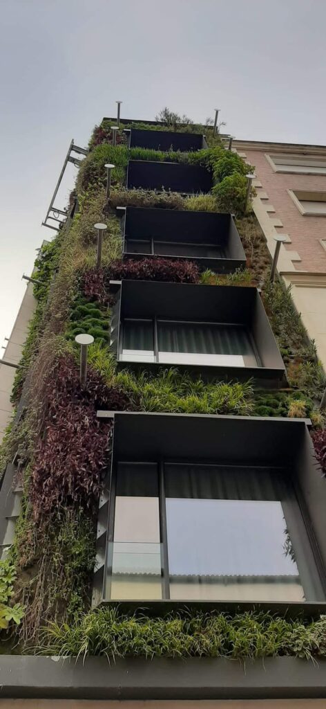 Jardín vertical