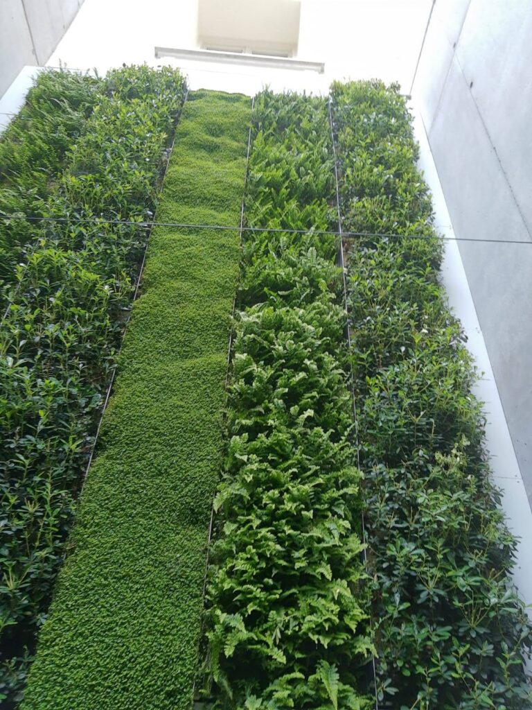 Jardín vertical
