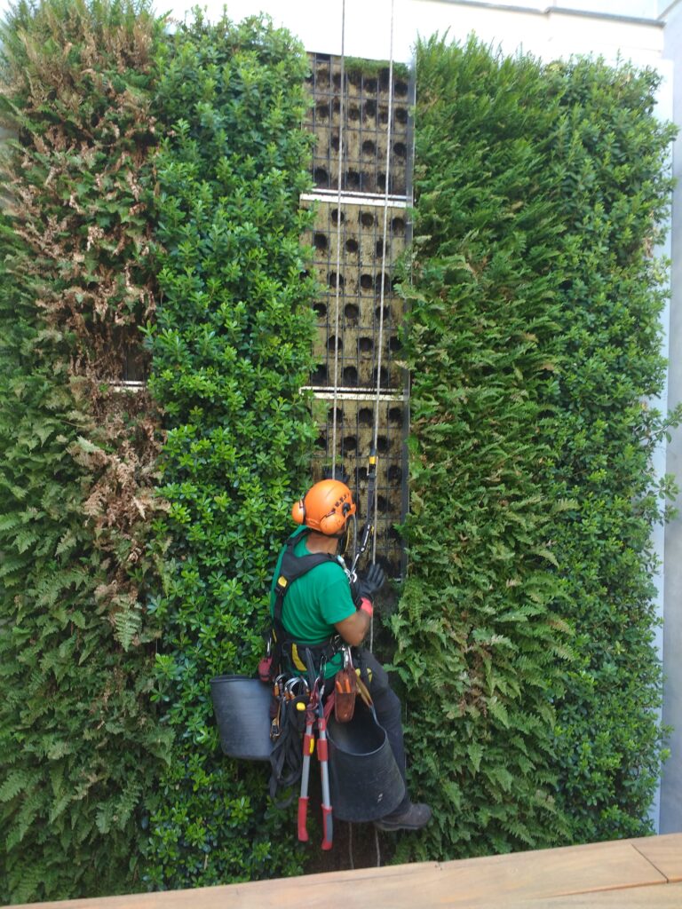 Jardín vertical