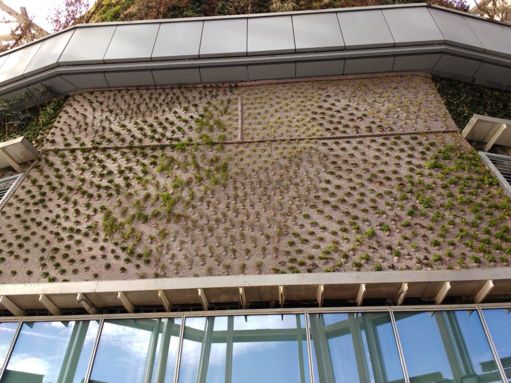 Jardín vertical