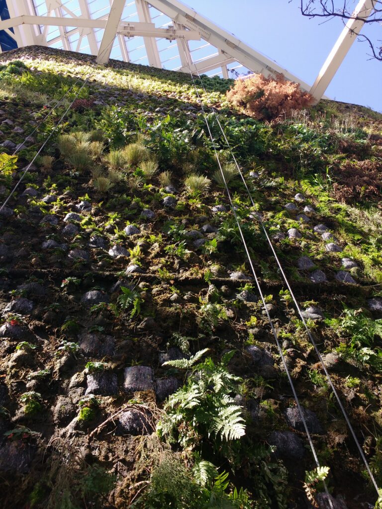 Jardín vertical