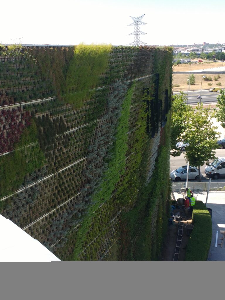 Jardín vertical